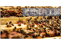 ���ֲ���