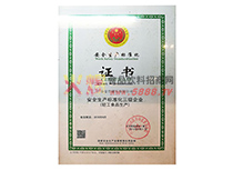 ��ȫ������׼��֤��