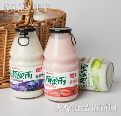 每日椰发酵酸奶饮品238g