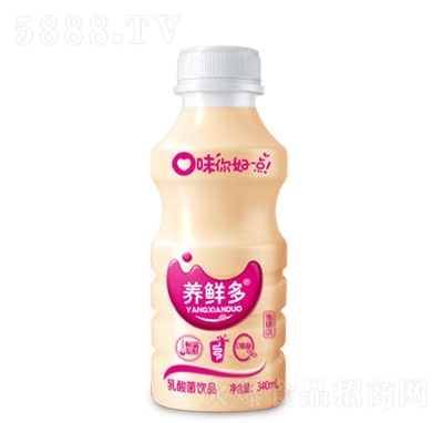 养鲜多乳酸菌风味饮品340mL瓶装儿童奶成人饮品早餐奶代理