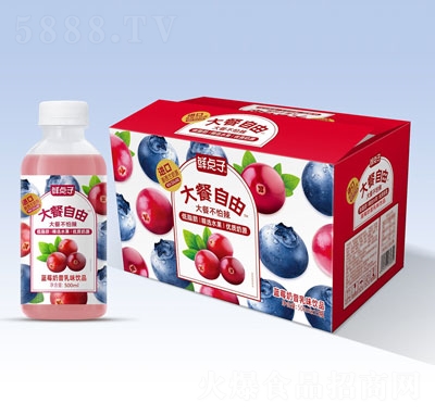 鲜点子大餐自由蓝莓奶昔乳味饮品500mlX15