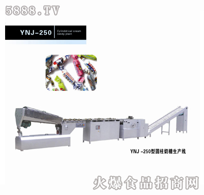 YNJ-250Բ