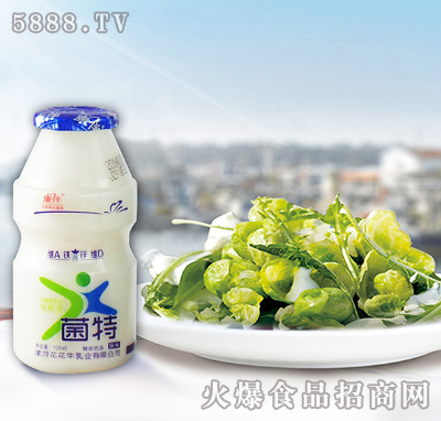 康伴菌特酸奶饮品|漯河花花牛乳业有限公司-火