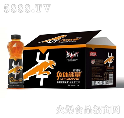 优体能量柑橘味维生素功能饮料600mlX15