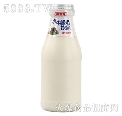 椰至尊水牛酸奶饮品270ml