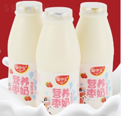 泉中宝营养枣奶（3瓶）