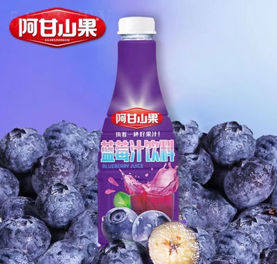 阿甘山果蓝莓汁饮料