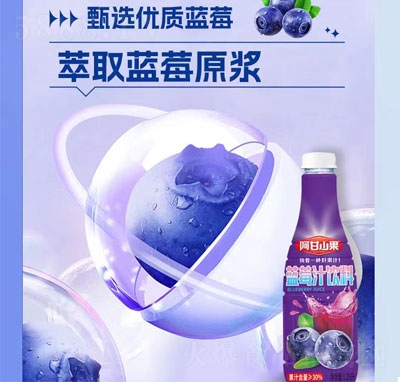 阿甘山果蓝莓汁饮料1.25L（瓶装）