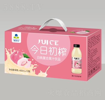 益正元今日初榨白桃复合果汁饮品460mlX12瓶礼盒装