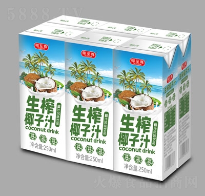 椰至尊生榨椰子汁植物蛋白饮料