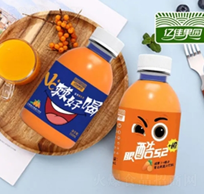 亿佳果园沙棘+胡萝卜+橙子复合果蔬汁饮料350ml饮料招商