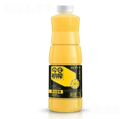 今日初榨复合乳酸菌果汁饮料阳光甜橙1.25L商超货源