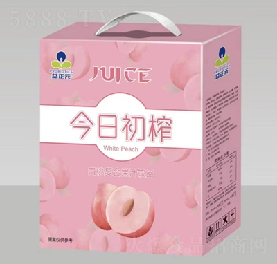 益正元今日初榨白桃复合果汁饮品礼盒装夏季饮料招商代理