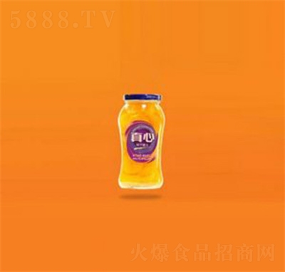 真心桔子罐头水果罐头招商代理460g