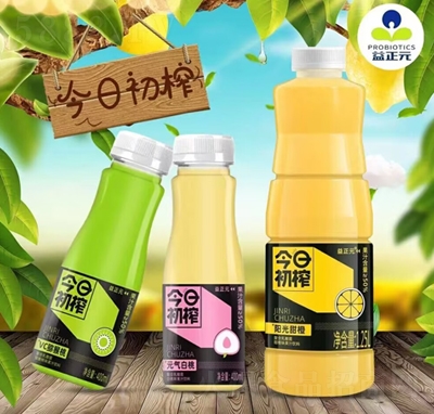 益正元今日初榨多口味乳酸菌果汁饮料1.25L