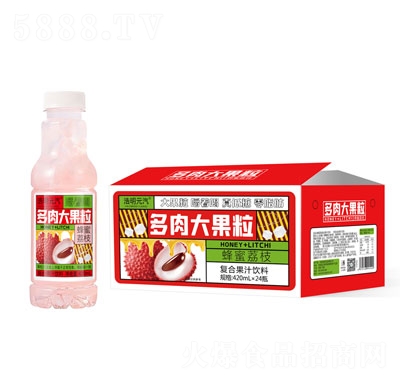 浩明元汽多肉大果粒蜂蜜荔枝复合果汁420mlX24