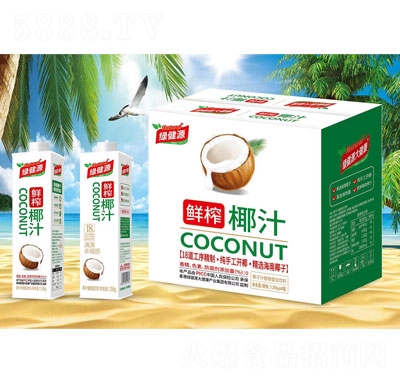 绿健源鲜榨椰汁植物蛋白饮料1.25kg（箱）