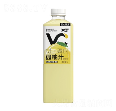 ��ֹ����˫��֭1L