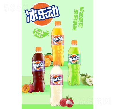 ���ֶ���֭��ˮ500ml