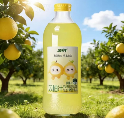 ������˫��֭1L