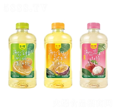 ԪС�︴�Ϲ�֭����900ml