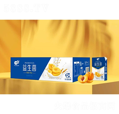 ��С����������������������װ