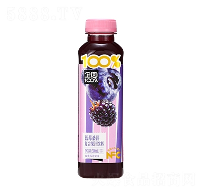 ��԰ ��ݮɣ�ظ��Ϲ�֭���� ��ݮɣ��ζ 500mL