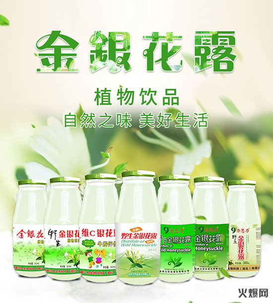 植物萃取，品质饮品！康药师金银花露给您带来财富商机！