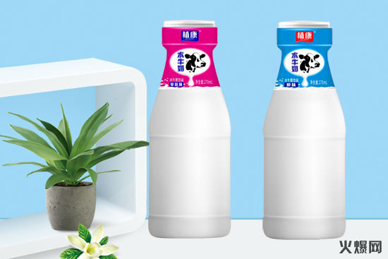 植康水牛奶饮品 植康水牛奶饮品
