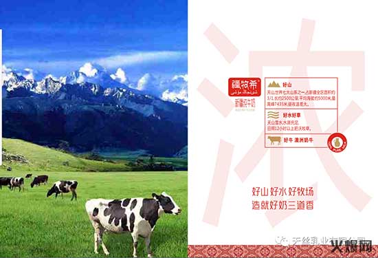 爆款推荐，新疆天丝乳业有限公司旗下的疆牧希新疆纯牛奶